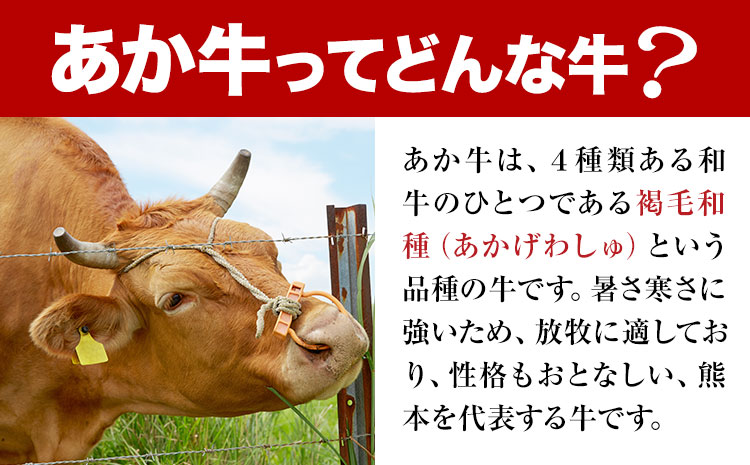 熊本県産和牛あか牛ロースステーキ 500g 阿蘇牧場《90日以内に出荷予定(土日祝除く)》熊本県 菊池市 肉 牛肉 あか牛 和牛 ロースステーキ ステーキ---114-2635---