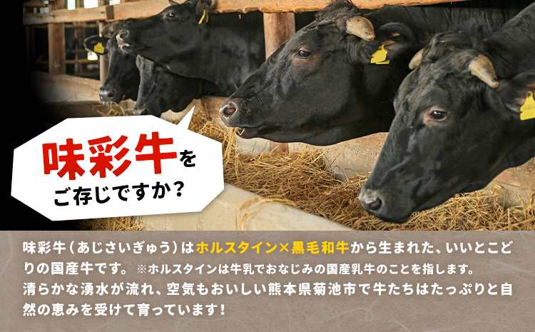 味彩牛 モモ・ウデ・肩ロース スライス 2kg 1パック 500g のぐち産業株式会社《90日以内に出荷予定(土日祝除く)》熊本県 菊池市 牛肉 スライス済み 肩ロース お肉 精肉 熊本県産 九州産 国産 冷凍 送料無料---183-2298---