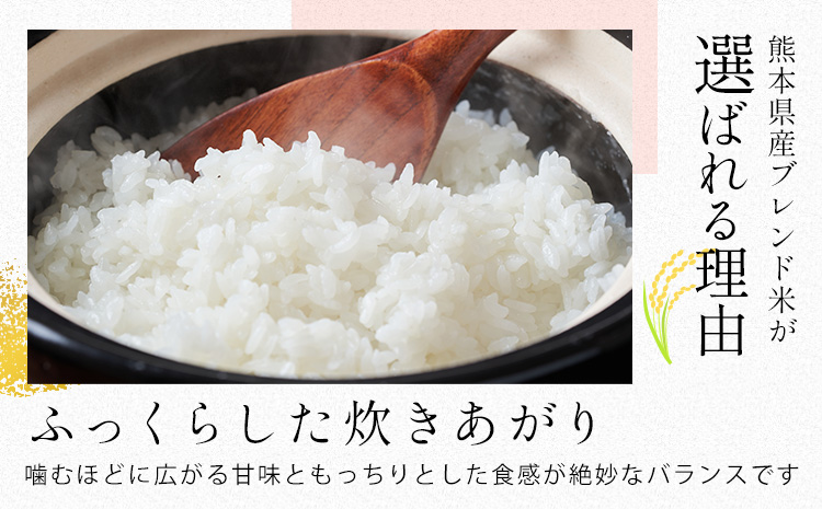 【隔月6回定期便】熊本県産 肥後清流米 白米 10kg 熊本県産 ふるさと納税 精米 米 こめ ふるさとのうぜい コメ お米 おこめ《お申込み翌月から出荷》---300-4327---