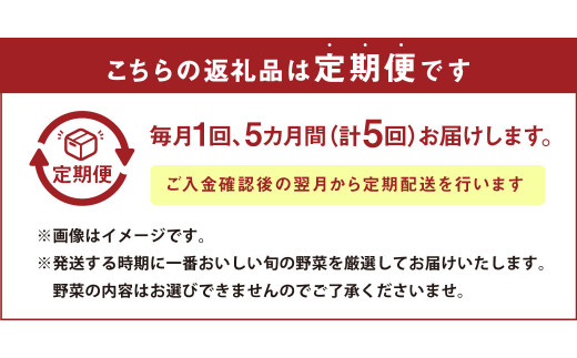 【定期便5回】 旬の野菜とたまごのセット 野菜 10品 にんにくたまご 12個 やさい 卵 詰め合わせ 詰合せ 定期便 メロンドーム 《お申し込みの翌月から出荷》---003-2420---