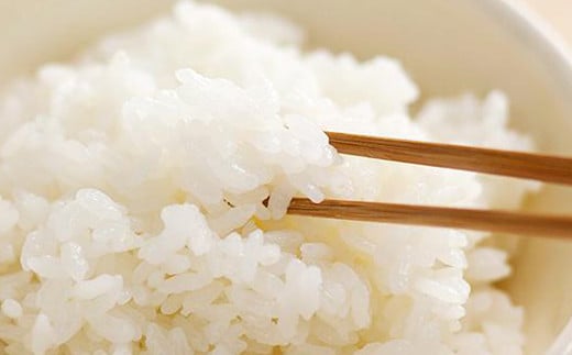 【令和7年産】 七城のこめ 特選米 七つ星 精米 5kg ヒノヒカリ《30日以内に出荷予定(土日祝を除く)》  白米 九州産 熊本県産---003-0546---