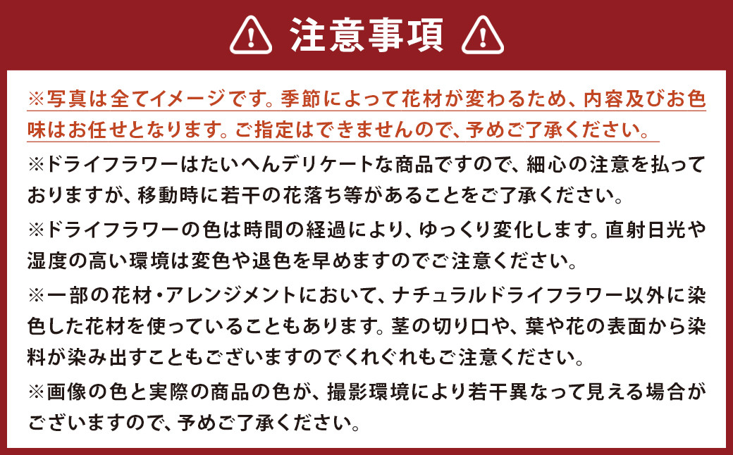 ドライフラワースワッグ Sサイズ《90日以内に出荷予定(土日祝除く)》---123-2468---