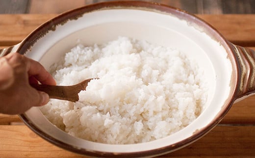 【令和7年産】 七城のこめ 精米 計10kg（5kg×2袋）ヒノヒカリ 《30日以内に出荷予定(土日祝を除く)》 白米 九州産 熊本県産---003-0547---