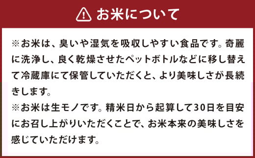 【令和7年産】 七城のお米 ぴかまる 5kg 米 白米 精米 こめ コメ お米 ごはん ご飯 熊本県産 《10月中旬頃より出荷》