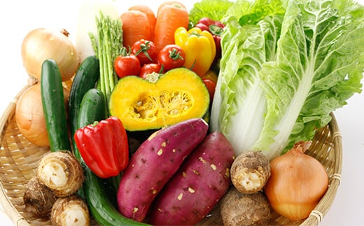 【定期便3回】 野菜 10品程度 詰め合わせ 3ヶ月 定期便 やさい 詰合せ セット【メロンドーム】《お申し込みの翌月から出荷》---003-1585---