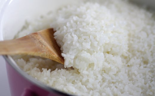 【精米】【令和7年産】有機JAS 七城産 ひのひかり 4kg(2kg×2袋)《30日以内に出荷予定(土日祝除く)》---171-1912-S---