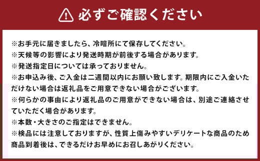 紅はるか 秀品 約5kg 芋 さつまいも サツマイモ べにはるか 野菜 《90日以内に出荷予定(土日祝除く)》 ---177-2263---