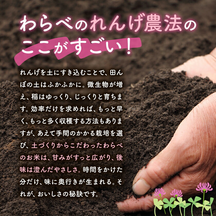 熊本県菊池市産のれんげ米 5kg 《30日以内に出荷予定(土日祝除く)》  精米方法 精米 お米 白米 レンゲ米 熊本県産 九州産 送料無料---313-0001---