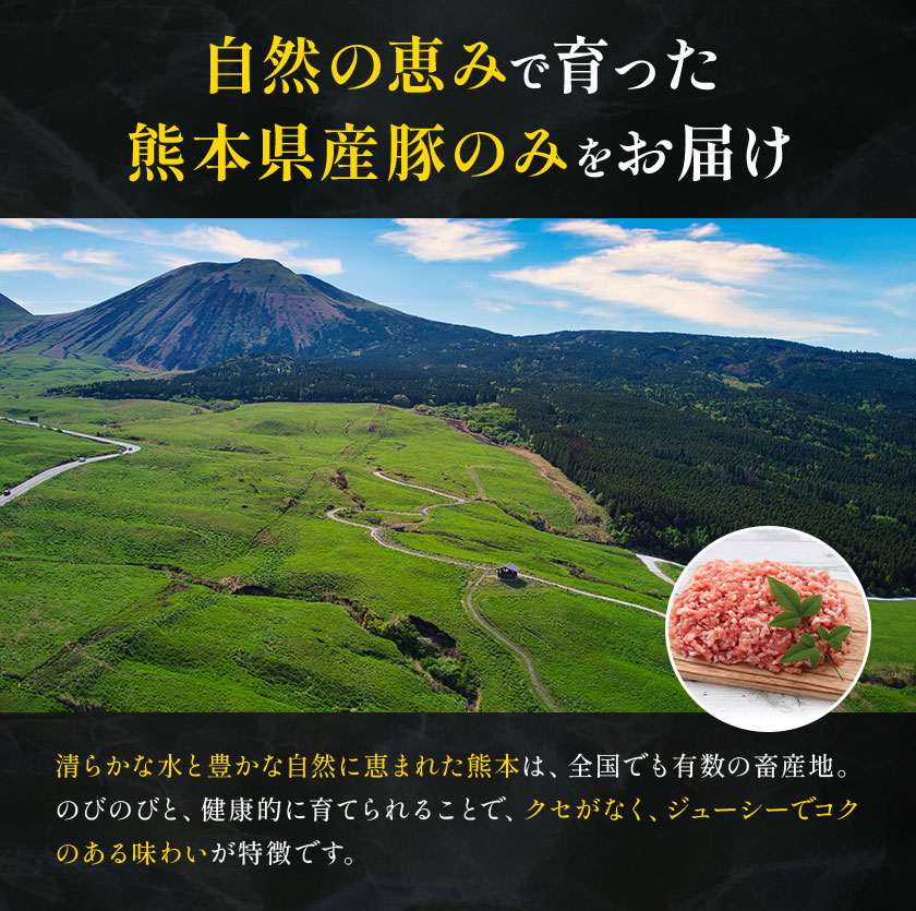 熊本県産 豚肉ミンチ 約3kg 九州産 鶏ミンチ 約2kg 計約5kg 植田商事有限会社 《90日以内に出荷予定(土日祝除く)》 熊本県 菊池市 ミンチ 豚肉 鶏肉 ハーブ鶏 お肉 熊本県産 九州産 国産 冷凍 送料無料---083-2071---