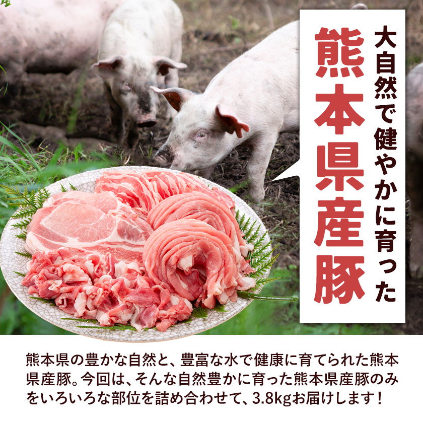 熊本県産 豚肉 詰め合わせ 合計3.8kg 植田商事有限会社 《90日以内に出荷予定(土日祝除く)》 熊本県 菊池市 ローススライス 肩ロースしゃぶしゃぶ用もしくはバラ焼肉用 モモスライス スペアリブ 詰め合わせ 食べ比べ セット お肉 冷凍 国産 送料無料---083-2231---