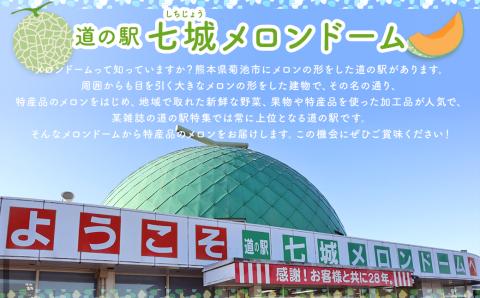  肥後グリーンメロン 2玉 (2L以上) くまモン箱入り メロンドーム 《2026年5月上旬より発送》---003-1570---
