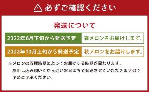 【6月下旬～発送】アールスメロン 2玉（約2kg×2玉）マスクメロン 果物 養生市場st-p
