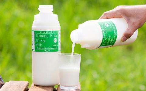 きくち村の グラスフェッドプリン 箱付き 計480g（80g×6個）セット 《90日以内に出荷予定(土日祝除く)》 ---047-2022---st-p