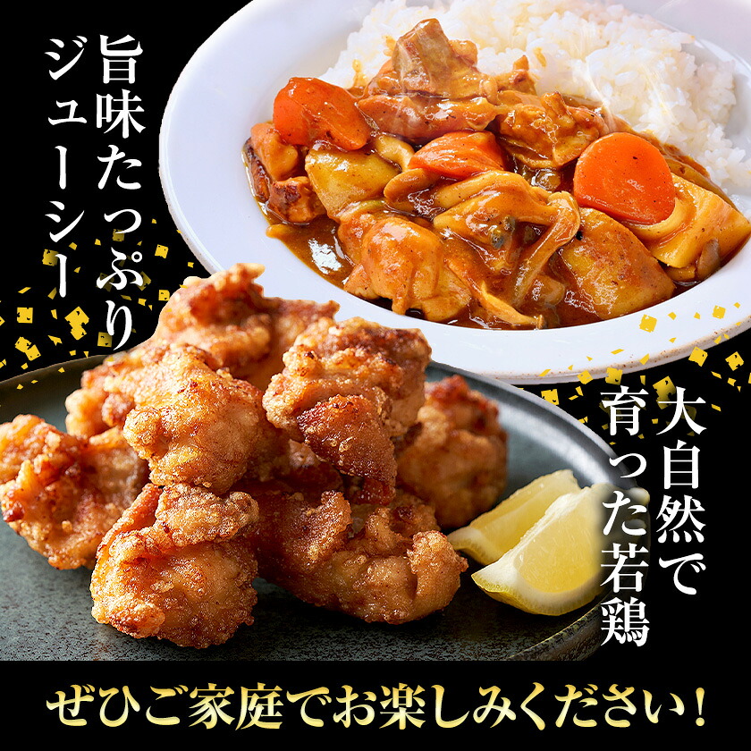 【3ヶ月定期便】 九州産若鶏もも肉 2.48kg 肉 お肉 鶏肉 若鶏 もも肉 唐揚げ てりやき チキンカレー 棒々鶏 煮物 国産 九州 熊本県 菊池市 送料無料《お申し込みの翌月から出荷》---0146-3002---