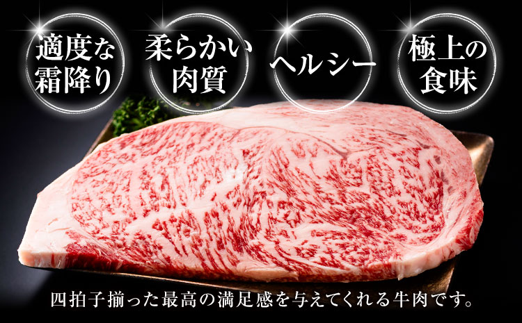 旭志牛 ヒレステーキC 140g×2枚 合計280g 有限会社旭志村ふれあいセンター 《90日以内に出荷予定(土日祝除く)》お肉 牛肉 ヒレ ステーキ 菊池ブランド牛 冷凍 送料無料---001-1951---