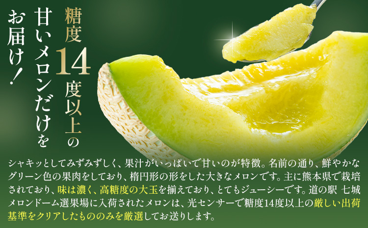 肥後グリーン メロン 2玉 約3.2kg 七城町特産品センター《5月中旬-6月末頃出荷》熊本県 菊池市 メロン 果物 フルーツ 九州産 熊本県産 めろん グリーンメロン---003-0109---