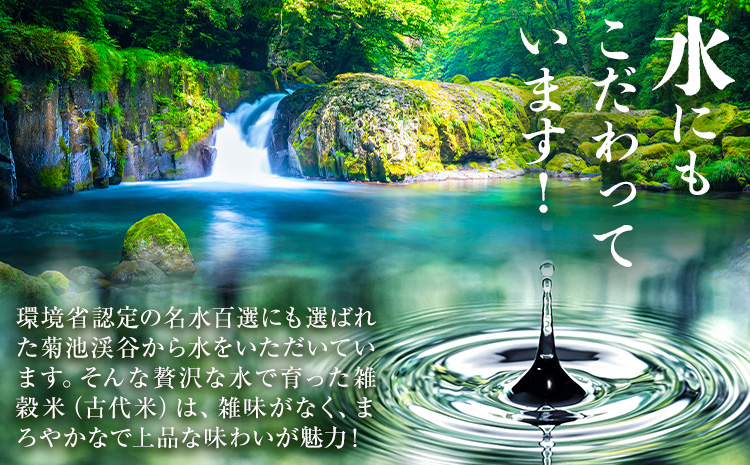 きくち古代米・もち麦 セットA【ファームきくち】 四穀 八穀 500g×1パック もち麦 200g×1パック セット 有限会社七城町特産品センター《90日以内に出荷予定(土日祝除く)》熊本県 菊池市 雑穀米 お米 米 もち麦 菊池市産 熊本県産 九州産---003-0473---