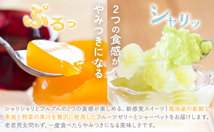 フルーツゼリー＆ゼリーシャーベットセット 各6個 合計12個 道の駅七城メロンドーム《30日以内に出荷予定(土日祝除く)》おやつ 洋菓子 ゼリーシャーベット いちご ブルーベリー マンゴー メロン 梨 トマト 送料無料---003-1069---