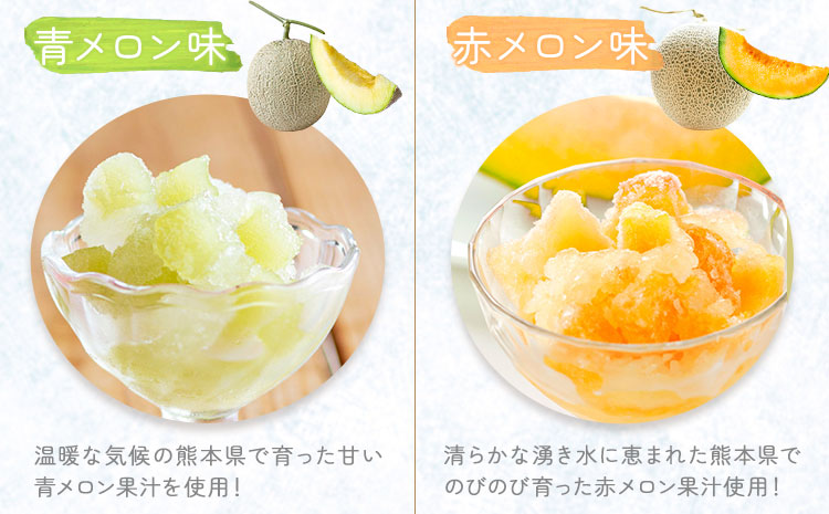 ゼリーシャーベット 10個セット(5種類×各2個) 道の駅七城メロンドーム 《30日以内に出荷予定(土日祝除く)》メロン いちご マンゴー ブルーベリー シャーベット 洋菓子 お菓子 おやつ ゼリーシャーベット 送料無料---003-1070---