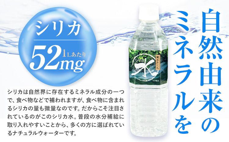 水 シリカ水 500ml × 48本 有限会社七城町特産品センター メロンドーム 《30日以内に出荷予定(土日祝除く)》 熊本県 菊池市 水 軟水 飲料 ドリンク 清涼飲料水 天然地下水 ペットボトル ミネラルウォーター 定期便 送料無料---003-1495---