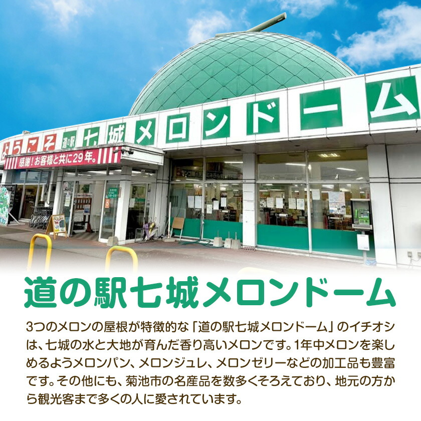 肥後グリーンメロン 1玉 2L以上【メロンドーム】 メロン 果物 フルーツ 九州産 熊本県産 送料無料【2026年5月中旬頃より出荷】【先行予約】---003-1568---