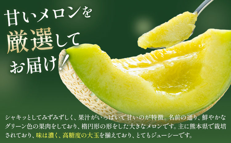  【先行予約】肥後グリーンメロン 2玉 2L以上 くまモン箱【メロンドーム】 有限会社七城町特産品センター《5月中旬-6月中旬頃出荷》熊本県 菊池市 メロン グリーンメロン 果物 フルーツ 熊本県産 送料無料---003-1570---
