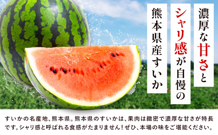 【先行予約】厳選すいか 2玉(1玉あたり8-9kg) 道の駅七城メロンドーム《5月中旬-6月中旬頃出荷》品種おまかせ ランダム 肥後漫遊 味で勝負iS 祭りばやし 果物 フルーツ スイカ 西瓜 九州産 熊本県産 送料無料---003-1575--