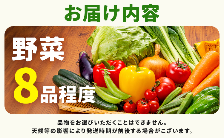 野菜セット 8品 養生市場 詰め合わせ セット 品種おまかせ 有限会社七城町特産品センター《90日以内に出荷予定(土日祝除く)》熊本県 菊池市 ランダム 野菜 旬の野菜 九州産 熊本県産---003-1964---