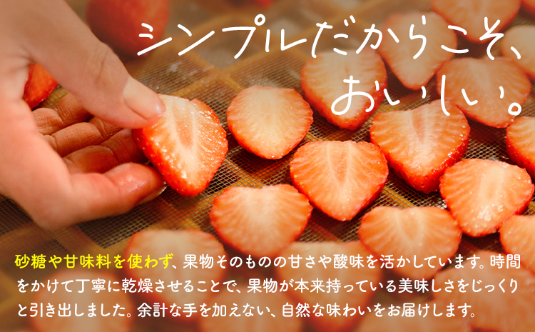 七種のドライフルーツセット 30g×7袋 【メロンドーム】 ミックス 青メロン 赤メロン いちご 梨 みかん 柿 ドライフルーツ フルーツ 食べ比べ セット 7種類 梨 メロン みかん いちご 送料無料《90日以内に出荷予定(土日祝除く)》---003-2413---