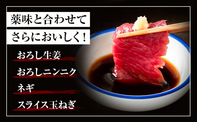 馬刺し上赤身パック 100g×2 合計200g 有限会社七城町特産品センター《90日以内に出荷予定(土日祝除く)》熊本県 菊池市 赤身 馬肉 馬刺し ブロック 冷凍 送料無料