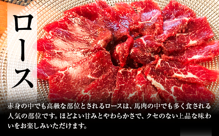 特選馬刺し詰め合わせ Eセット 合計600g 3種類 セット 霜降り100g×2 上赤身100g×2 ロース100g×2 醤油1本付き 有限会社七城町特産品センター《90日以内に出荷予定(土日祝除く)》熊本県 菊池市 馬肉 馬刺し 食べ比べ ブロック 冷凍 送料無料---003-2415---