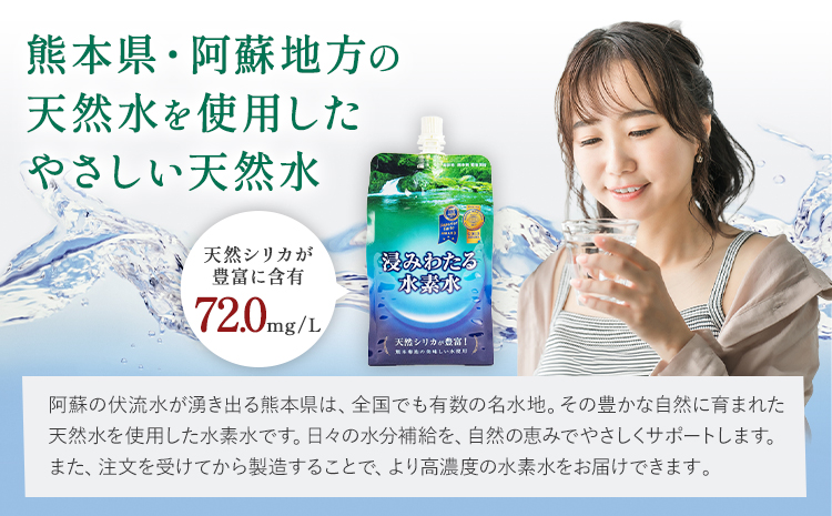 【5ヶ月定期便】浸みわたる水素水 12本 内容量 1本500ml 計30L《お申込み翌月から出荷》水 水素水 天然水 飲料水 ミネラルウォーター アルミパウチ パウチ 国産 九州産 熊本県産 菊池市産---003-2416---