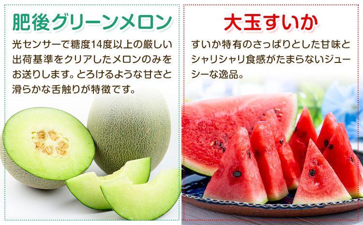 【定期便6回】特選 フルーツ 便 ( メロン すいか ぶどう 梨 いちご ) スイカ 葡萄 ブドウ ナシ なし 苺 イチゴ 果物 くだもの セット 詰合せ 定期便 メロンドーム《お申込み翌月から出荷》---003-2426---