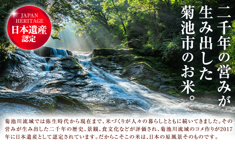 第13回 菊池米食味コンクール 個人総合部門 入賞米 ひのひかり 精米 5kg 七城町特産品センター《30日以内に出荷予定(土日祝除く)》熊本県 菊池市 米 こめ ヒノヒカリ お米 ブランド米 単一原料米 菊池---003-5012---