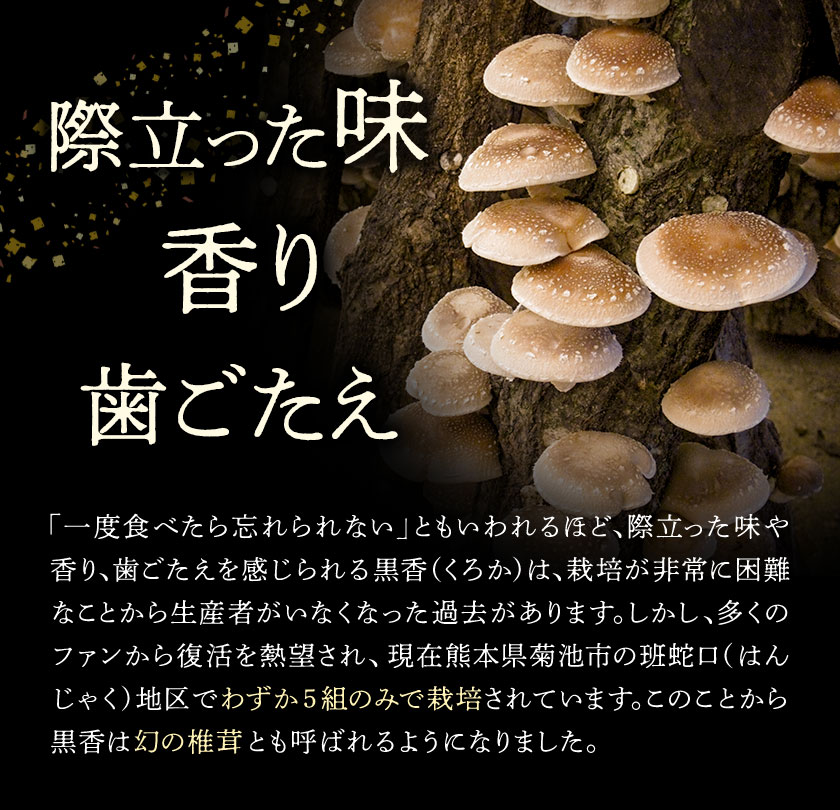 しいたけ 幻の椎茸 黒香 1kg 有限会社きくち観光物産館 《90日以内に出荷予定(土日祝除く)》熊本県 菊池市 希少品種 乾燥椎茸 小粒 ジャミ バレ しいたけ きのこ ご家庭用 規格外品 訳あり 送料無料---004-2268---