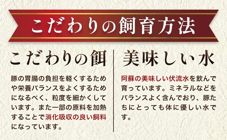 肥後あそび豚切落し 2.4kg 株式会社さつま屋産業 《90日以内に出荷予定(土日祝除く)》 ぶた ブタ 豚肉 肉 ブランド豚 切り落とし 国産 九州産 熊本県産 菊池市産 冷凍 送料無料 ---015-1978---
