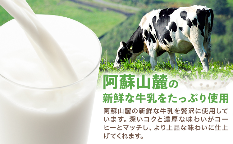 【12ヶ月定期便】常温保存可能 コーヒー 250ml × 24本 計288本 合同会社たべたせいか《申込月の翌月から出荷開始》熊本県 菊池市 コーヒー牛乳 カフェオレ 珈琲 らくのうマザーズ 薫るエスプレッソ ドリンク 紙パック 熊本県産 国産---016-1617---