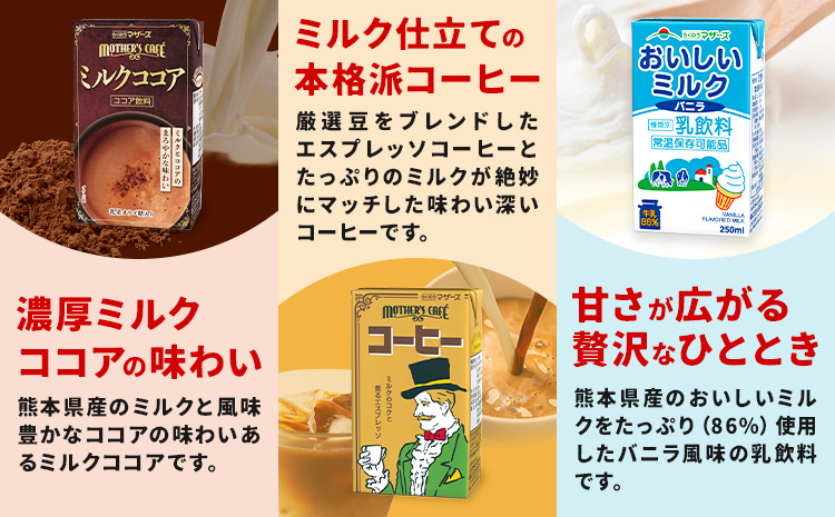 常温保存可能 らくのうマザーズ 詰め合わせ セット 大阿蘇牛乳＆ミルクバニラ 200ml×12本ずつ 計24本 合同会社たべたせいか《30日以内に出荷予定(土日祝除く)》熊本県 菊池市 大阿蘇牛乳 おいしいミルクバニラ 乳飲料 乳性飲料 らくのうマザーズ ドリンク---016-2618---
