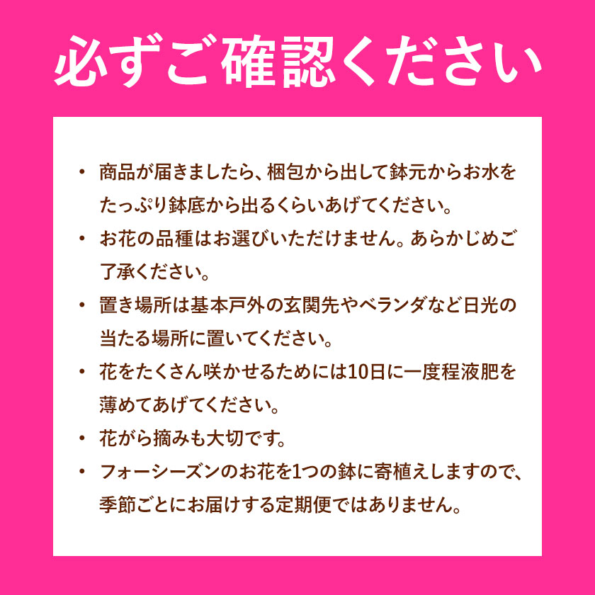 【12ヶ月定期便】フォーシーズン お花の寄せ植え 直径20～25cm Fleurbranch 《申込みの翌月出荷》熊本県 菊池市 定期便 花 鉢花 鉢植え 観葉植物 植物 インテリア ガーデン 雑貨---020-1411---