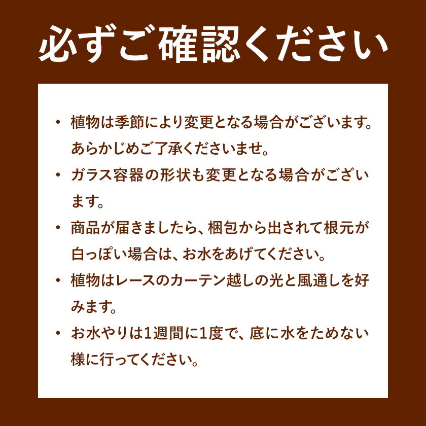 ミニグリーン 寄せ植え bring green Fleurbranch 《90日以内に出荷予定(土日祝除く)》熊本県 菊池市 観葉植物 植物 インテリア ガーデン 雑貨 エコ素材 贈物 プレゼント---020-2171---