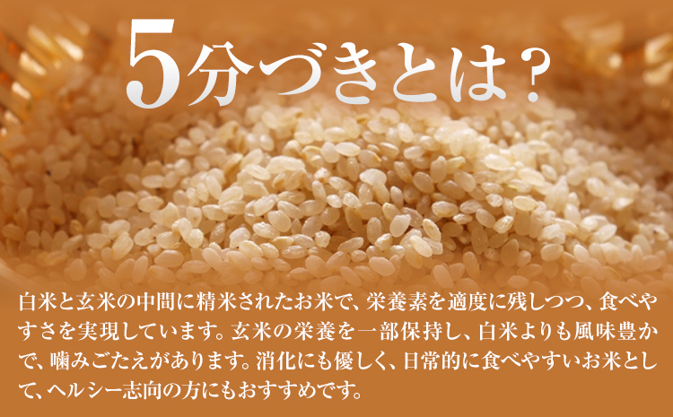 米 ヒノヒカリ 5分づき 5kg 内容量 1袋 5kg 合同会社くまもとごはん 《30日以内に出荷予定(土日祝除く)》 熊本県 菊池市 お米 分づき米 九州産 熊本県産 白米 無洗米 ひのひかり 送料無料---026-0522---