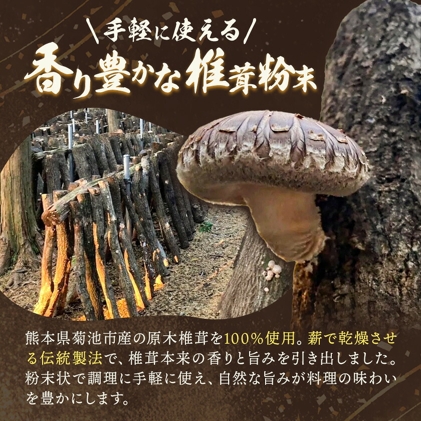 万能だし 椎茸粉 100g 1袋 熊本県菊池産 原木椎茸100% 腸内免疫 合同会社くまもとごはん《30日以内に出荷予定(土日祝除く)》椎茸 しいたけ きのこ 粉末 出汁 調味料 熊本県産 九州産 送料無料---026-1820---