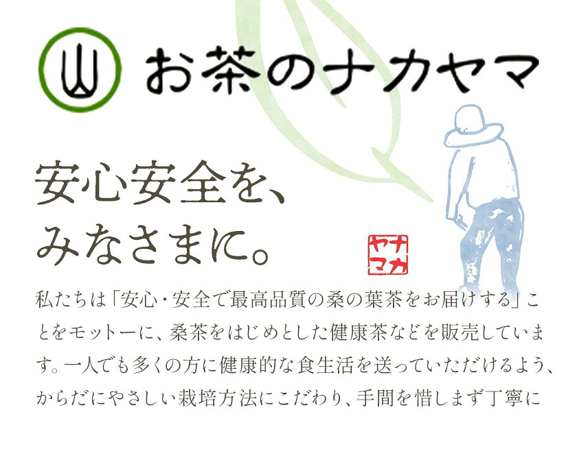 乾燥おじさんのごぼう茶 3袋セット 2種類 セット 生姜ごぼう茶 牛蒡茶 飲み比べ 茶葉 ティーパック 送料無料《30日以内に出荷予定(土日祝除く)》---029-0065---
