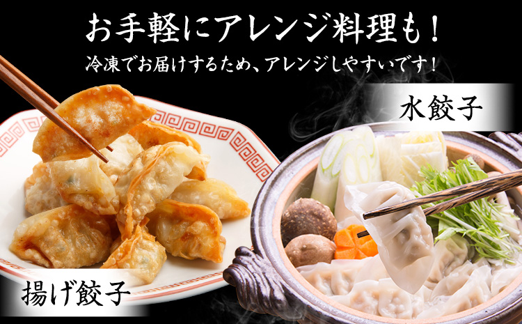 くまもと あか牛 100％ 餃子 20個入り×3(計60個) 牛肉《30日以内に出荷予定(土日祝除く)》---034-5010---
