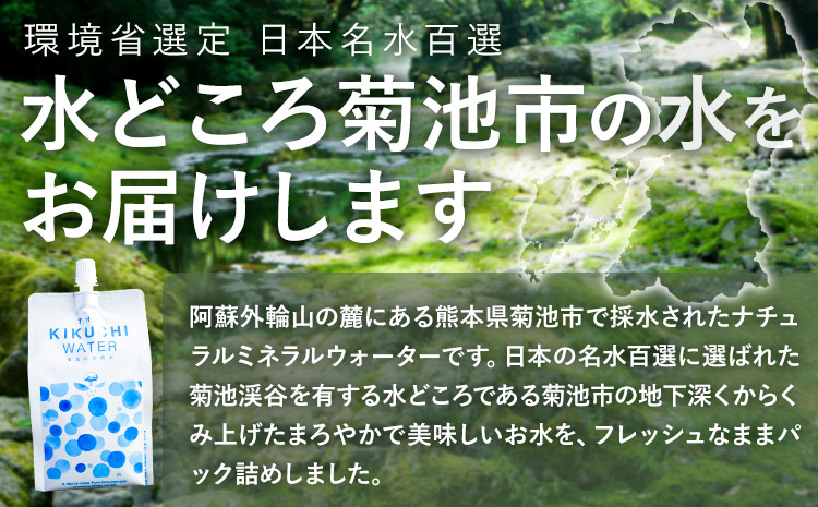 THE KIKUCHI WATER 500ml×30本 合計15L 水 飲料水 ミネラルウォーター シリカ 飲料《90日以内に出荷予定(土日祝除く)》天然水 飲料水 ミネラルウォーター シリカ含有 アルミパウチ パウチ 国産 九州産 熊本県産 菊池市産 送料無料---037-2283---