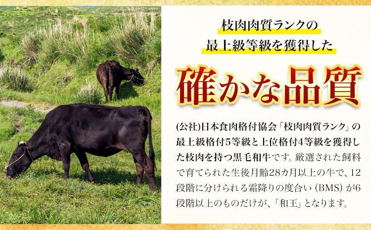 熊本県産 黒毛和牛 ロース 焼肉用 400g 《90日以内に出荷予定(土日祝除く)》国産 牛肉 焼き肉st-p---039-2010---
