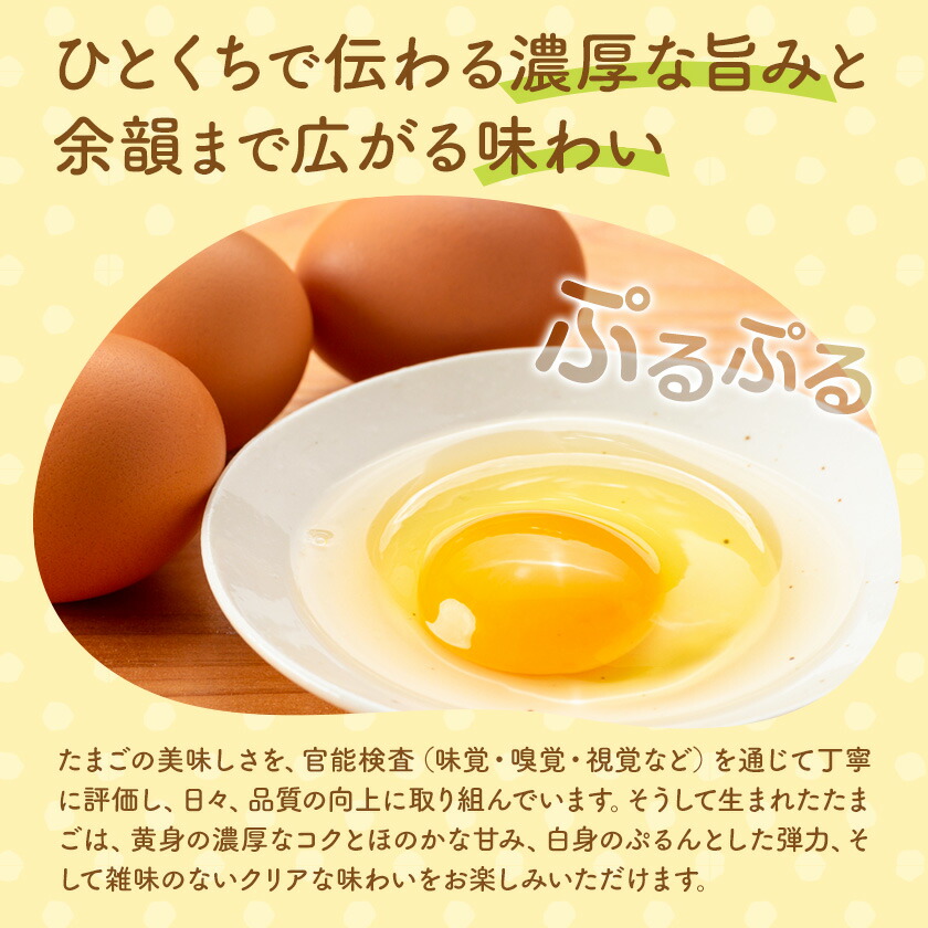 コッコファームのたまご 80個 コッコファーム《90日以内に出荷予定(土日祝除く)》熊本県 菊池市 卵 鶏卵 玉子 たまご 家庭用 熊本県産 九州産 冷蔵 送料無料---043-2020---