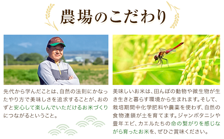 熊本県菊池産 七城物語 有機黒米（玄米）合計900g（180g×5パック）《30日以内に出荷(土日祝を除く)》---045-1334---