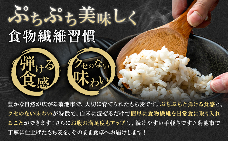 七城物語 高野さんちのもち麦 計1kg (200g×5パック) 株式会社有機農場《30日以内に出荷予定(土日祝除く)》熊本県 菊池市 熊本県菊池産 もち麦 モチ麦 ダイシモチ 小分け チャック付き 国産 九州産 熊本県産 送料無料---045-2445---