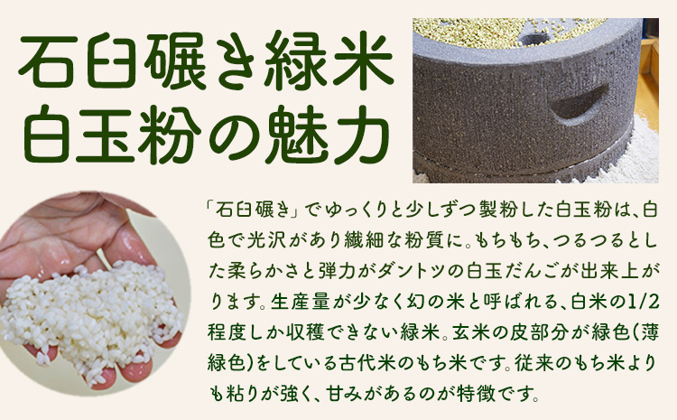 きくち村の緑米白玉粉 120g×6袋 合計720g 自然派きくち村(有限会社渡辺商店)《30日以内に出荷予定(土日祝除く)》熊本県 菊池市 白玉粉 自然栽培の緑米使用 白玉 粉末 もち米 製菓用 和菓子 熊本県産 九州産 国産---047-0502---
